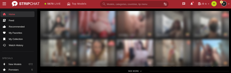 Stripchat Sito di cam