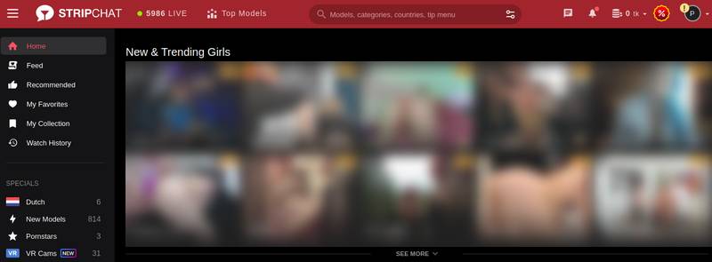 Stripchat Screenshot Pagina principale